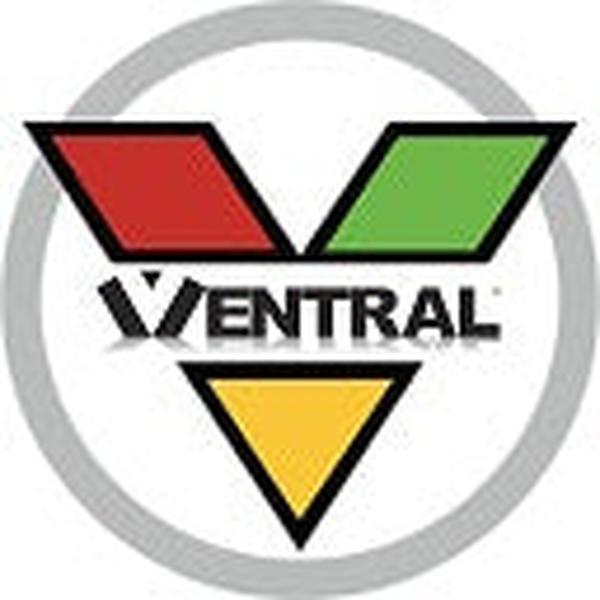 VENTRAL Lumber 1 in. x 3 in. (3/4" x 2-1/2") Construction Premium Whitewood Board Stud Wood