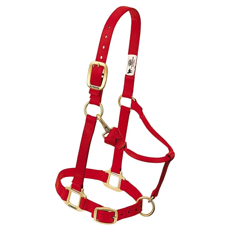 Nylon Halter | Weaver