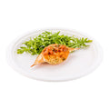 Pulp Tek Round White Sugarcane / Bagasse Large Plate - 10 1/4" x 10 1/4" x 3/4" - 100 count box