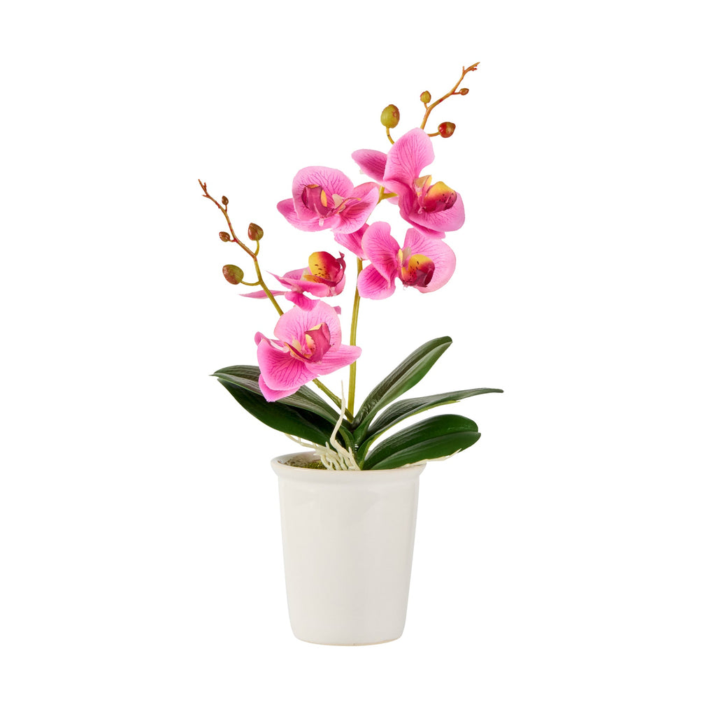 Fiore Round Purple Plastic Orchid in Porcelain Pot - 5 Blooms - 4" x 4" x 14" - 12 count box