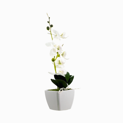 Fiore White Plastic Orchid in Plastic Pot - 5 blooms - 4" x 4" x 13" - 1 count box