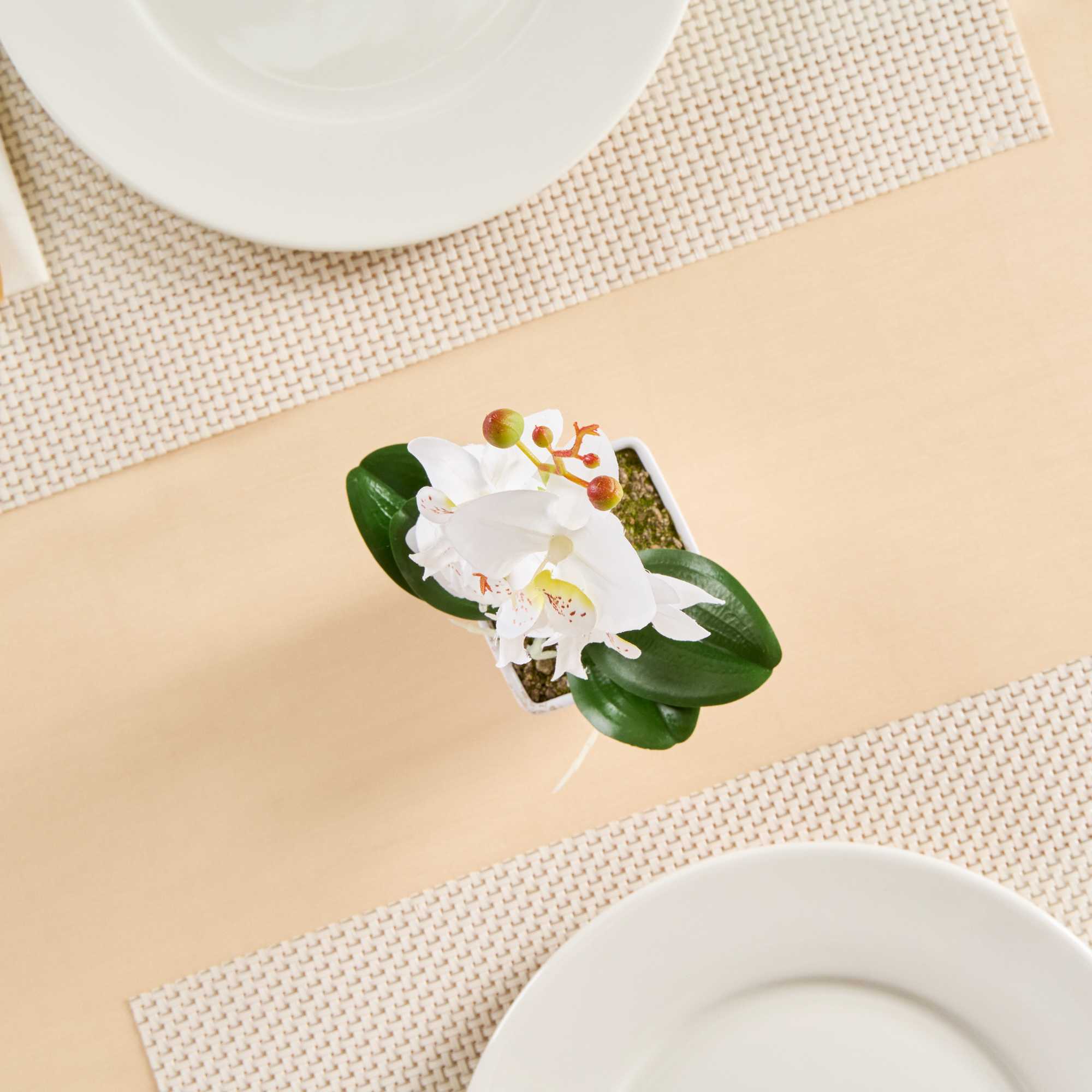 Fiore White Plastic Orchid in Plastic Pot - 5 blooms - 4" x 4" x 13" - 1 count box