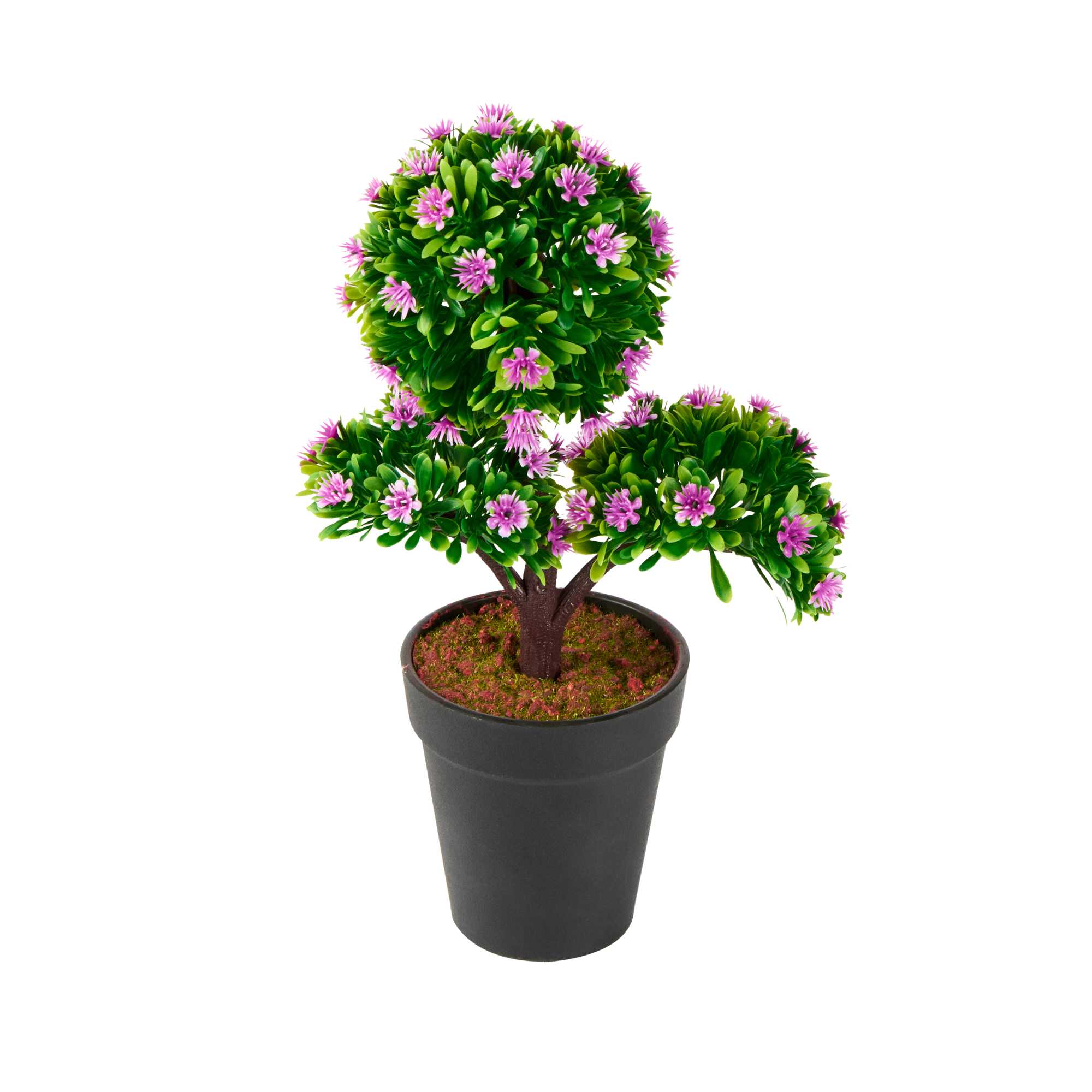 Fiore Purple Plastic Mini Crape Myrtle in Plastic Pot - 7 1/2" x 4" x 11" - 1 count box