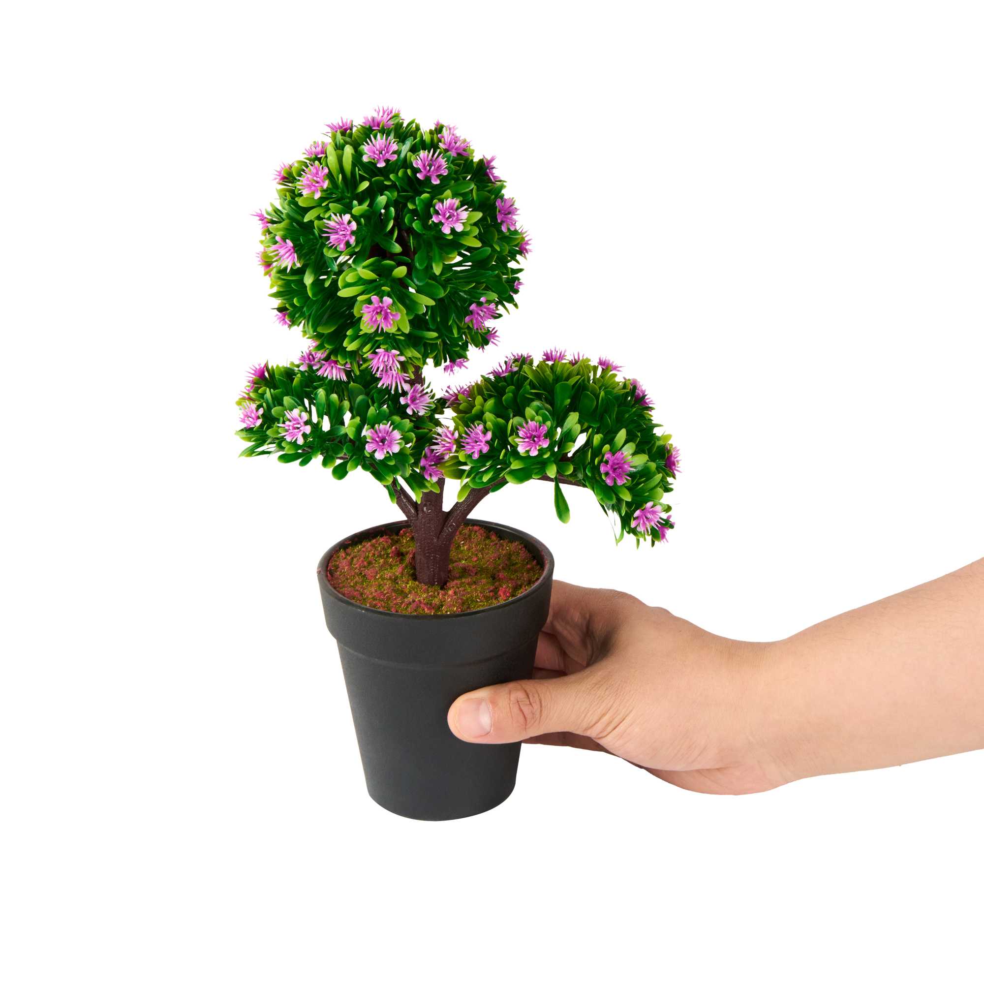 Fiore Purple Plastic Mini Crape Myrtle in Plastic Pot - 7 1/2" x 4" x 11" - 1 count box
