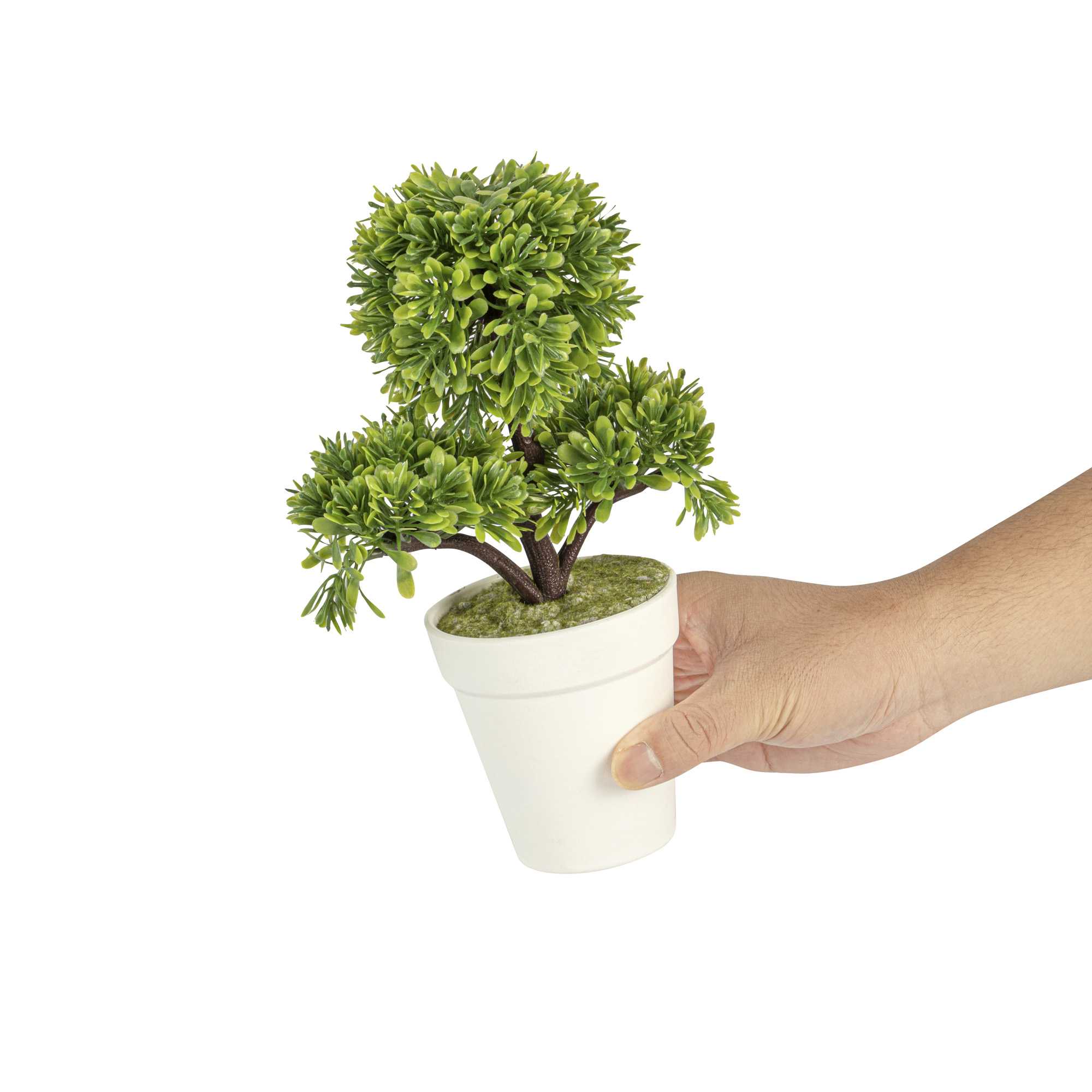 Fiore Green Plastic Petite Green Tree in Plastic Pot - 7" x 4" x 11" - 1 count box