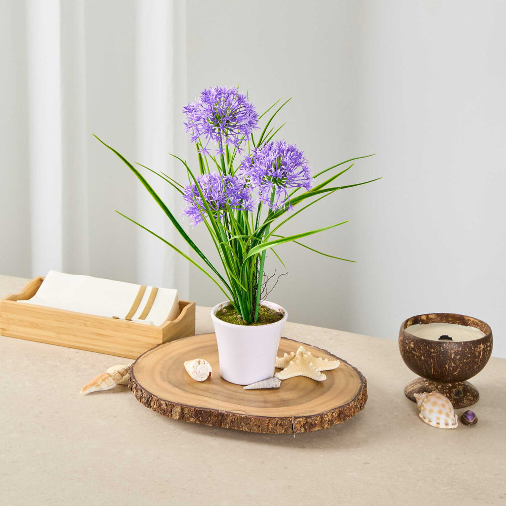 Fiore Violet Plastic Violet Allium in Plastic Pot - 4" x 4" x 14" - 1 count box