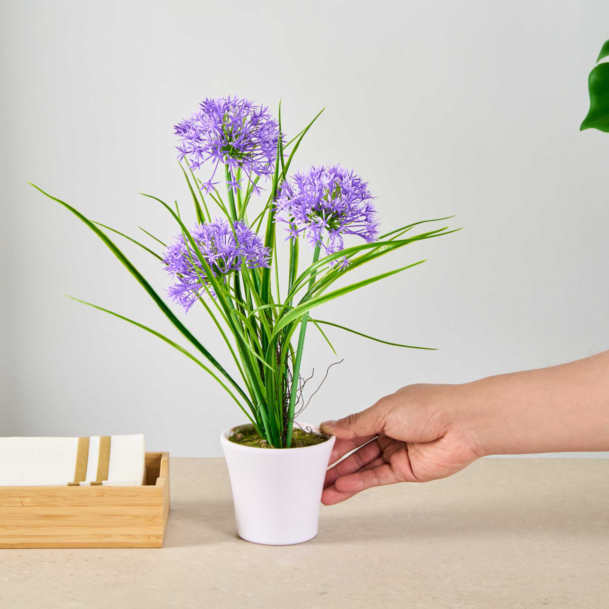 Fiore Violet Plastic Violet Allium in Plastic Pot - 4" x 4" x 14" - 1 count box