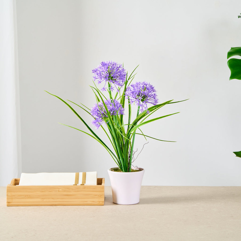 Fiore Round Violet Plastic Violet Allium in Plastic Pot - 4" x 4" x 14" - 12 count box