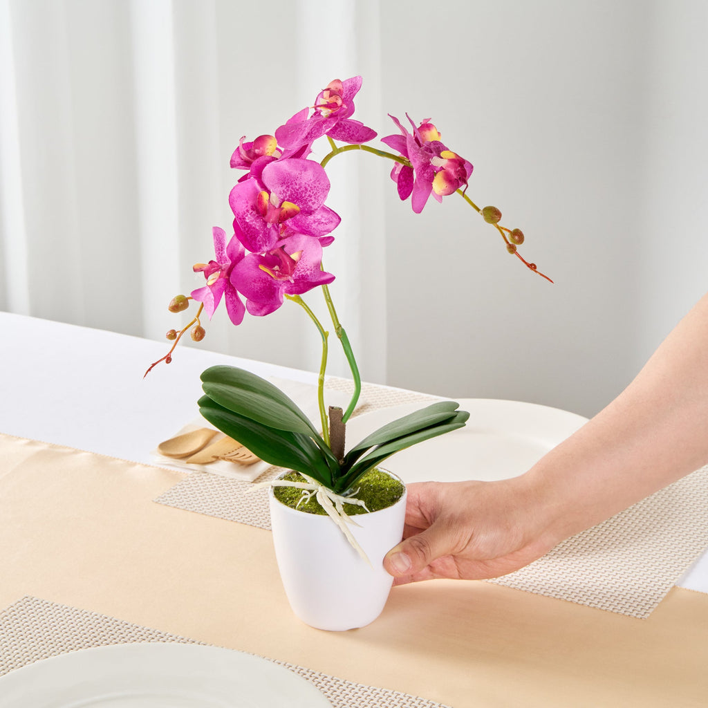 Fiore Round Magenta Plastic Moth Orchid in Plastic Pot - 8 Blooms - 4" x 4" x 15" - 12 count box
