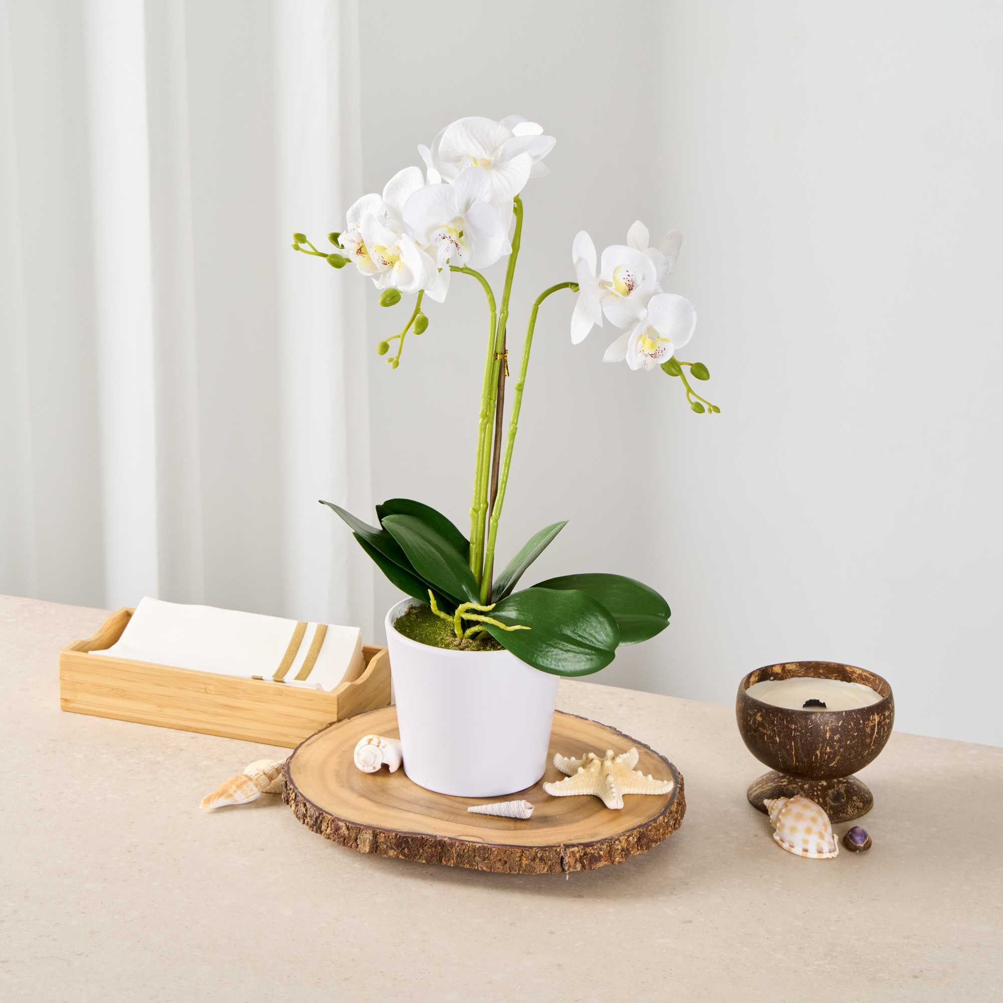 Fiore White Plastic Orchid in Plastic Pot - 12 Blooms - 5 1/2" x 5 1/2" x 19" - 1 count box