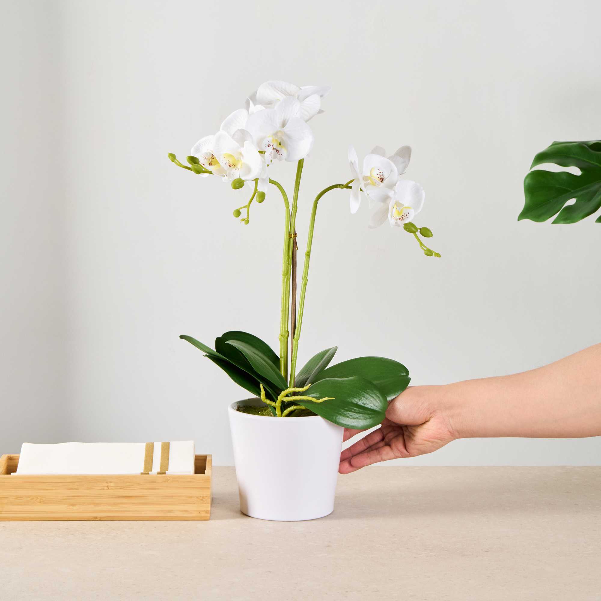 Fiore White Plastic Orchid in Plastic Pot - 12 Blooms - 5 1/2" x 5 1/2" x 19" - 1 count box