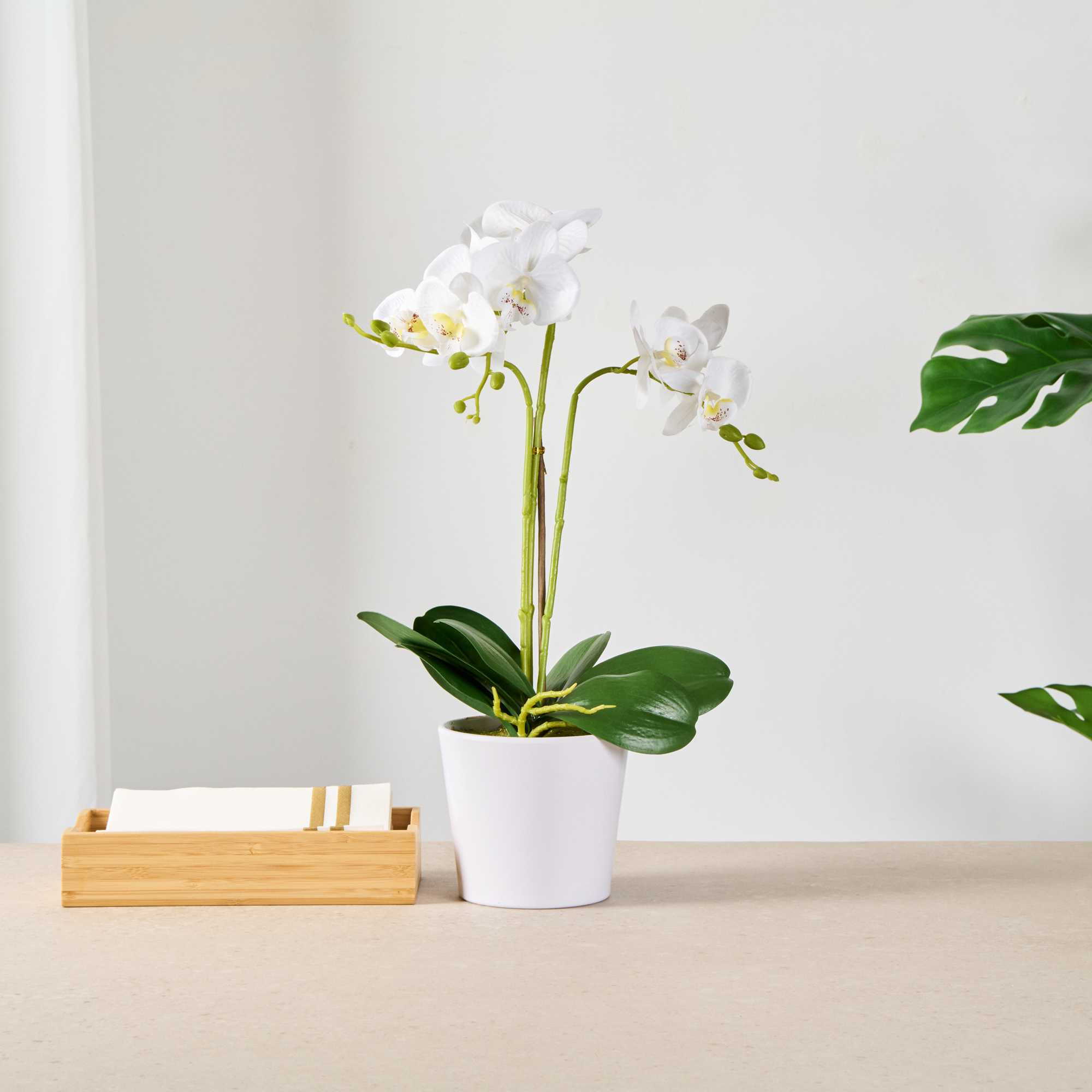 Fiore White Plastic Orchid in Plastic Pot - 12 Blooms - 5 1/2" x 5 1/2" x 19" - 1 count box