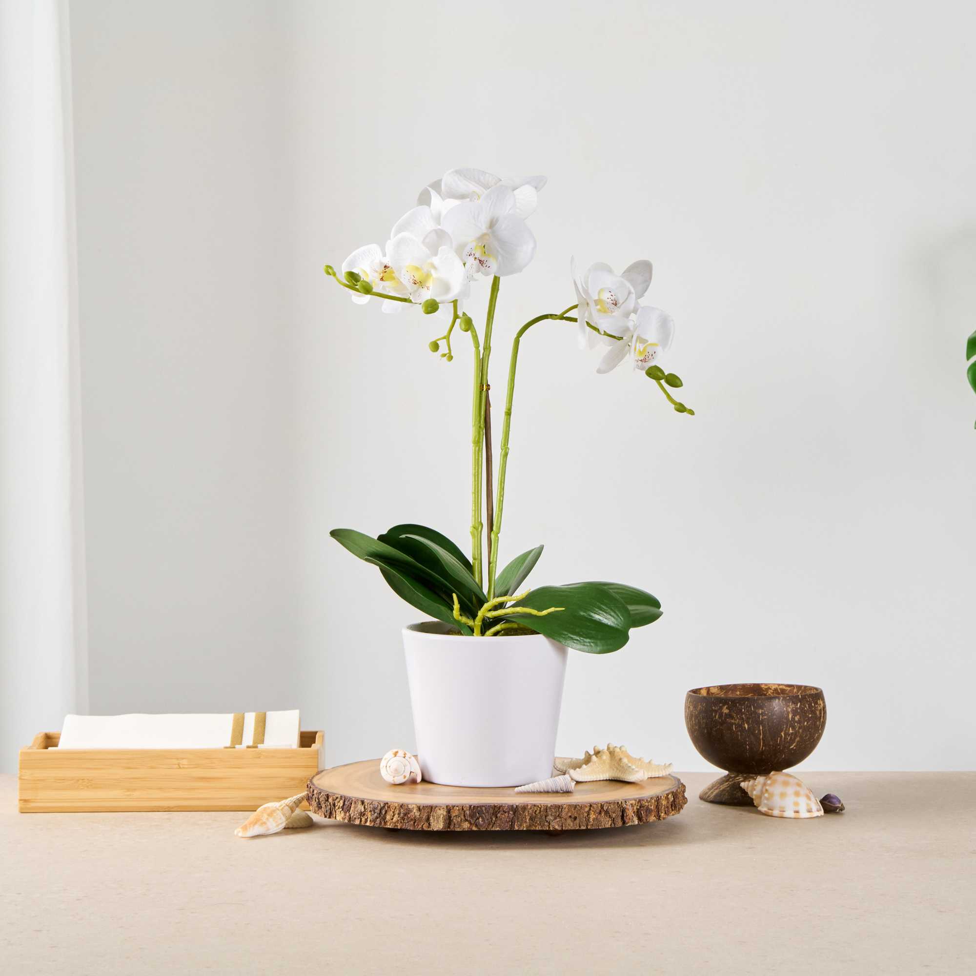 Fiore White Plastic Orchid in Plastic Pot - 12 Blooms - 5 1/2" x 5 1/2" x 19" - 1 count box