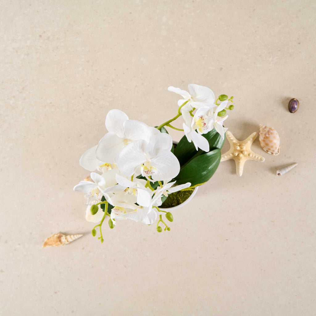 Fiore White Plastic Orchid in Plastic Pot - 12 Blooms - 5 1/2" x 5 1/2" x 19" - 1 count box