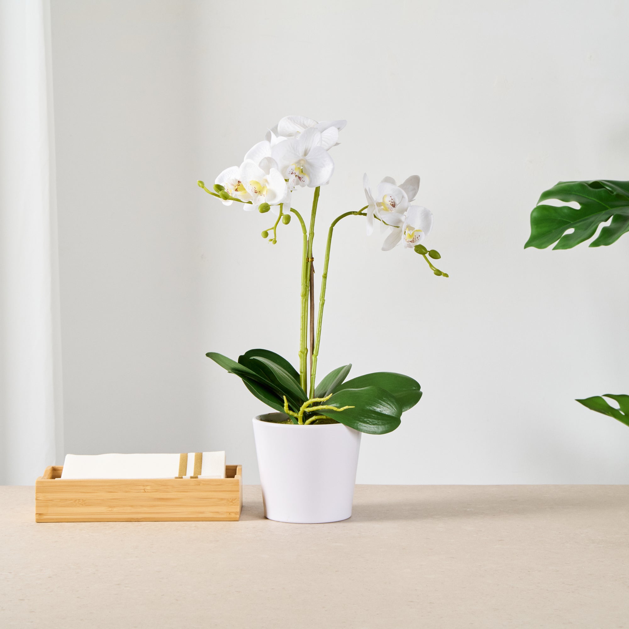 Fiore White Plastic Orchid in Plastic Pot - 12 Blooms - 5 1/2" x 5 1/2" x 19" - 6 count box