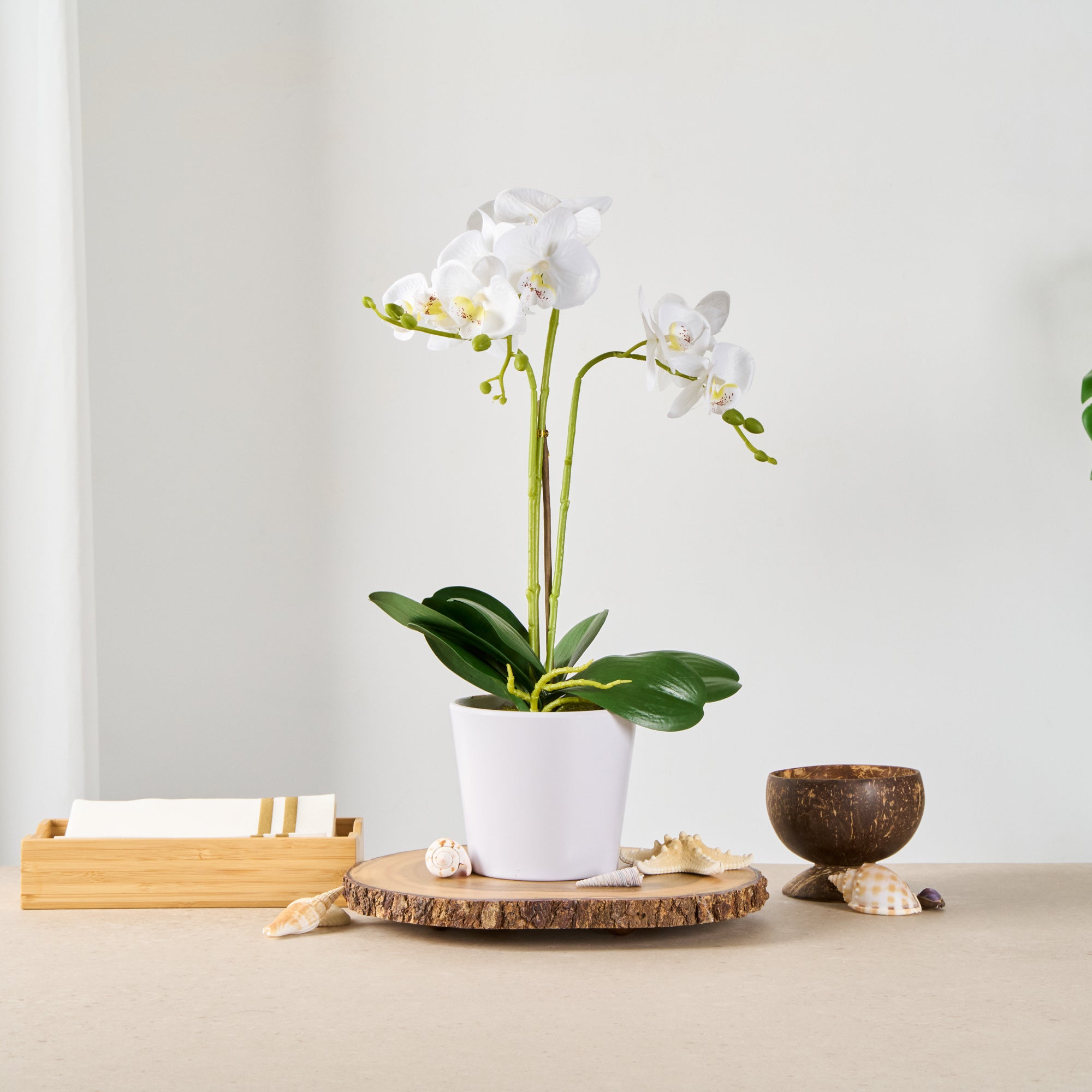 Fiore White Plastic Orchid in Plastic Pot - 12 Blooms - 5 1/2" x 5 1/2" x 19" - 6 count box