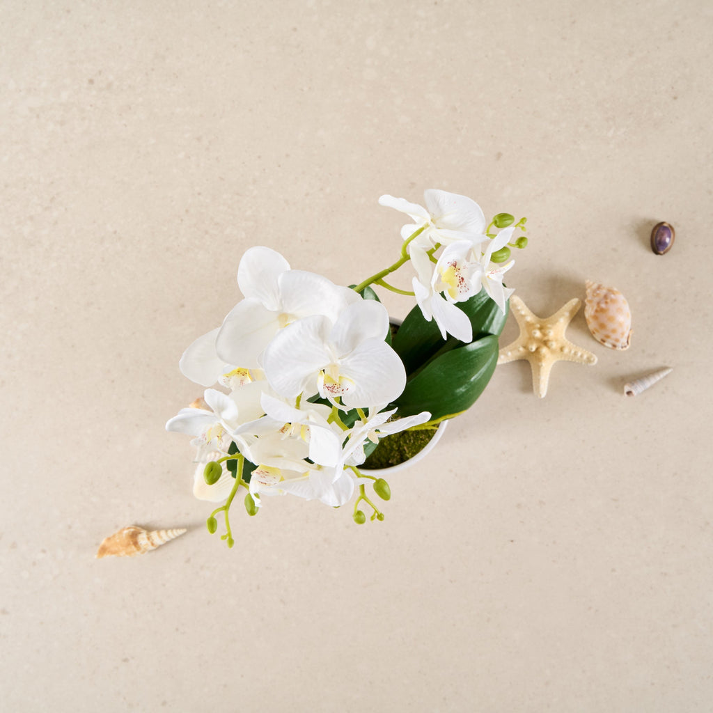 Fiore White Plastic Orchid in Plastic Pot - 12 Blooms - 5 1/2" x 5 1/2" x 19" - 6 count box