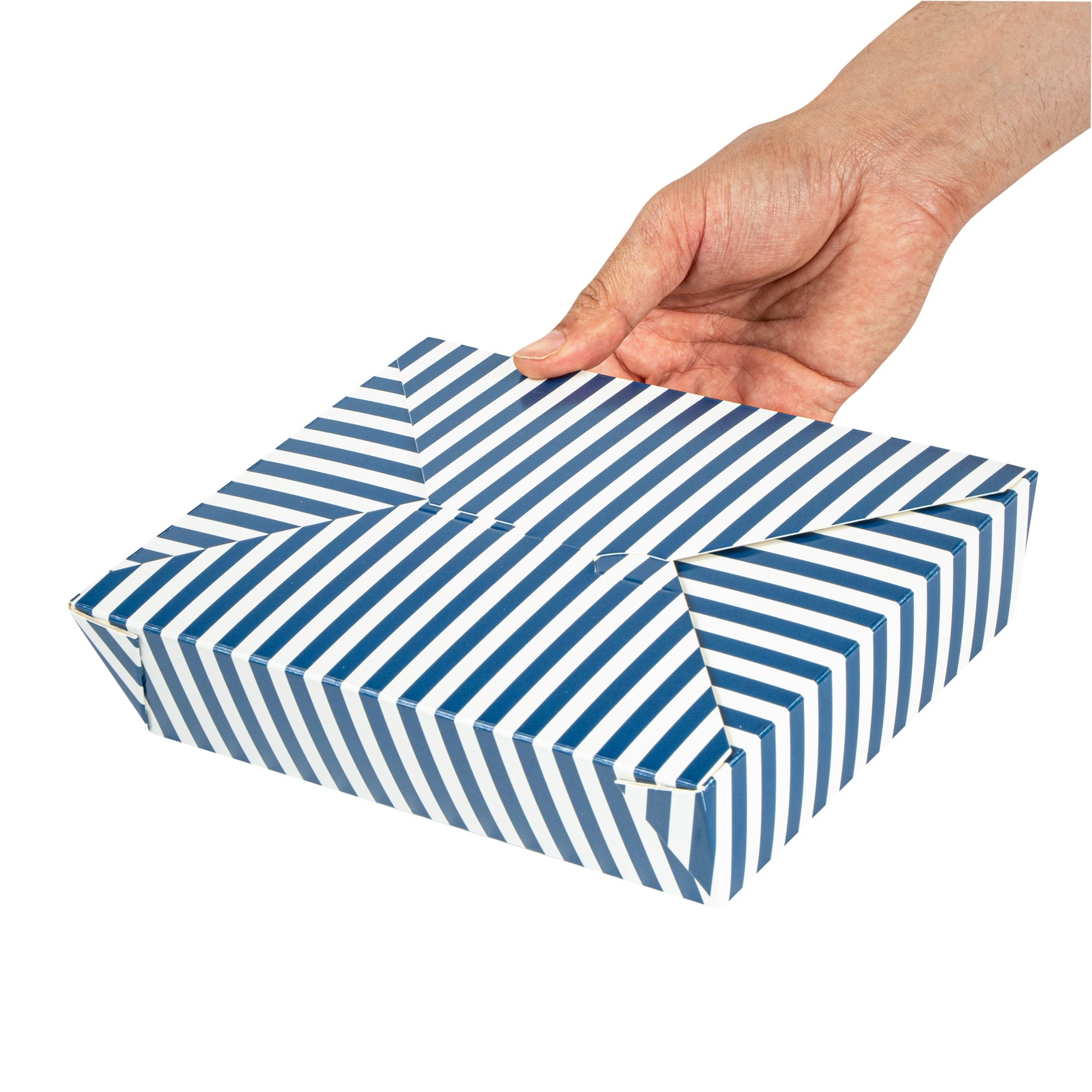 Bio Tek 49 oz Rectangle Blue and White Stripe Paper #2 Bio Box Take Out Container - 8 1/2" x 6 1/4" x 2" - 200 count box