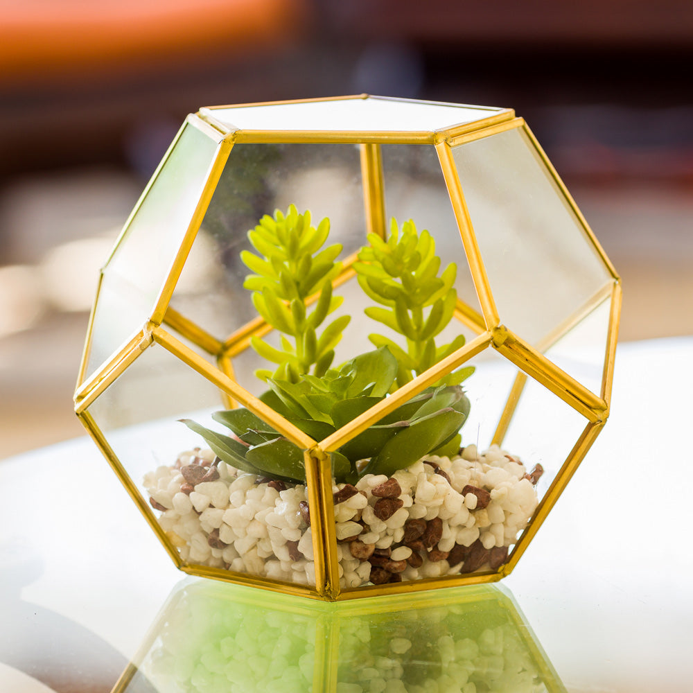 Plastic Table Art Faux Succulent Arrangement - Pentagon Glass Terrarium, Gold - 6 3/4" x 6 1/4" x 6 1/4" - 1 count box