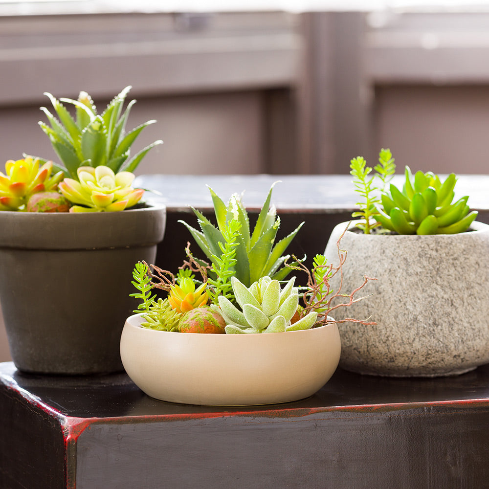 Plastic Table Art Faux Succulent Arrangement - Helio Porcelain Planter, Taupe - 6" x 6" x 5 1/4" - 1 count box
