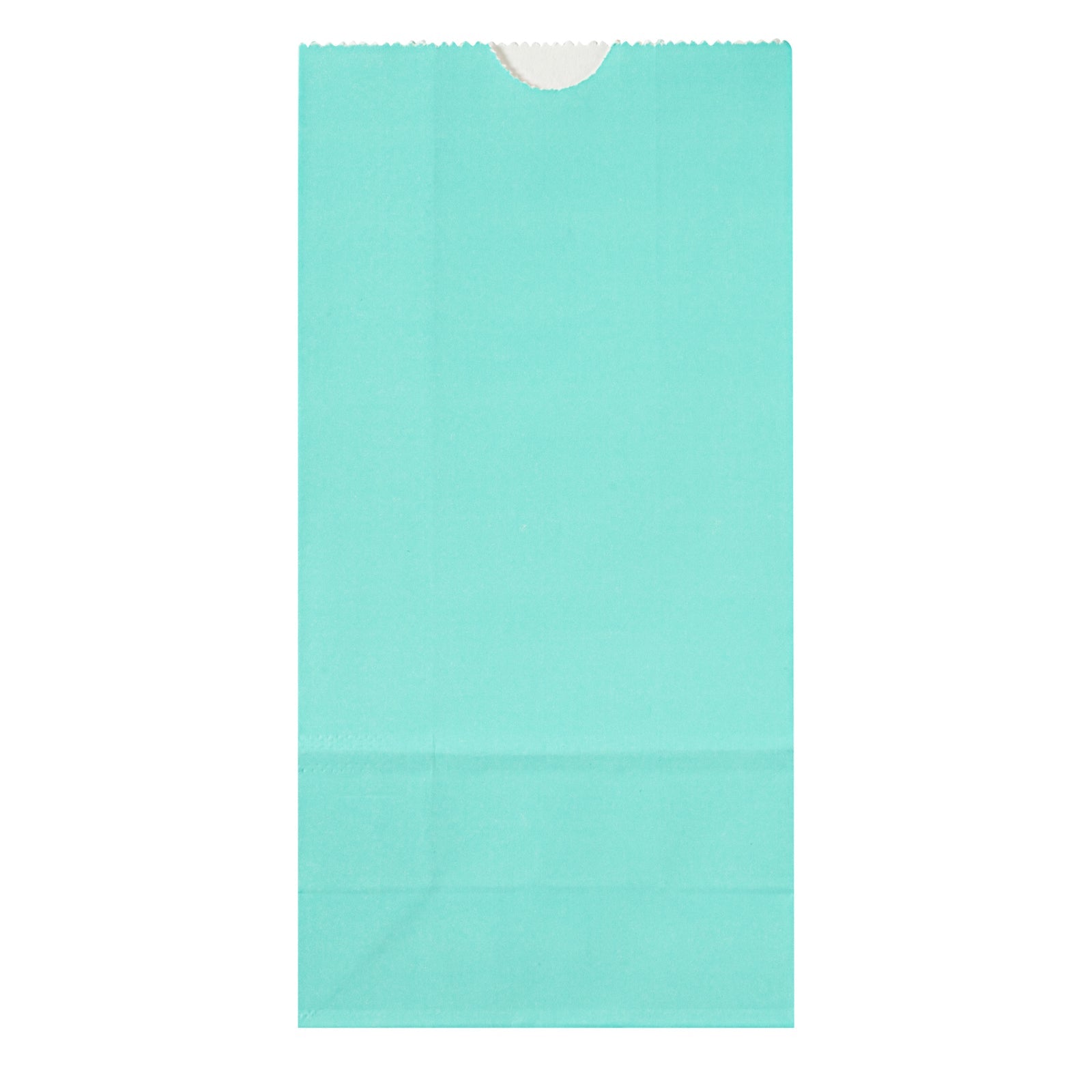 Bag Tek Turquoise Paper Bag - 2 lb - 4 1/4" x 2 1/4" x 8 1/2" - 100 count box
