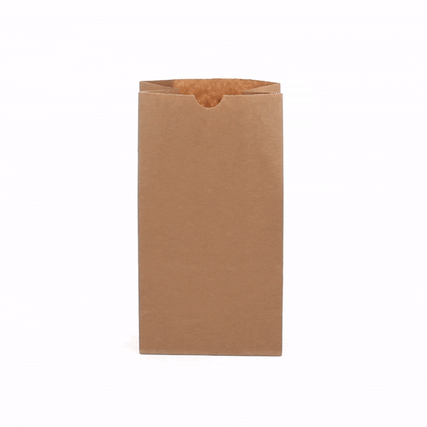 Bag Tek Kraft Paper Bag - 4 lb - 5" x 3 1/4" x 9 1/2" - 100 count box