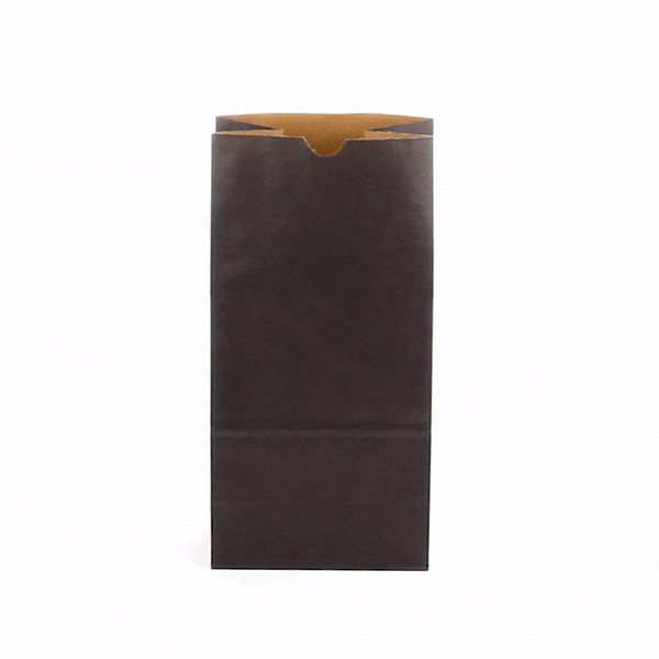 Bag Tek Black Paper Bag - 8 lb - 6" x 4" x 11 3/4" - 100 count box