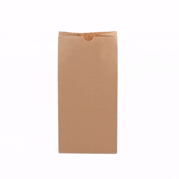 Bag Tek Kraft Paper Bag - 8 lb - 6" x 4" x 11 3/4" - 100 count box