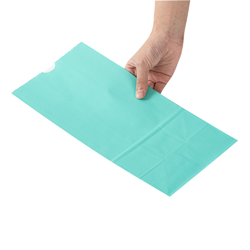 Bag Tek Turquoise Paper Bag - 8 lb - 6" x 4" x 11 3/4" - 100 count box
