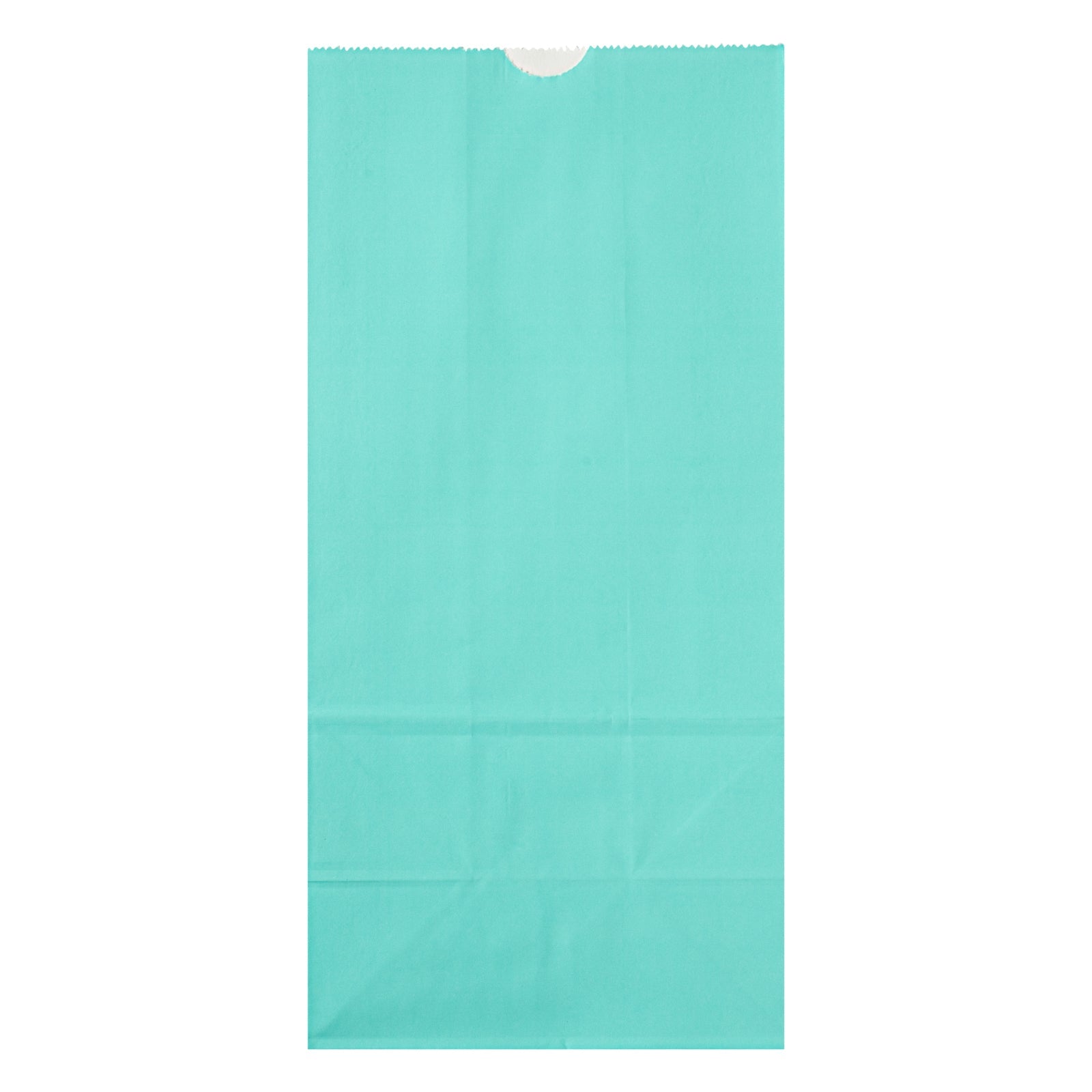Bag Tek Turquoise Paper Bag - 8 lb - 6" x 4" x 11 3/4" - 100 count box
