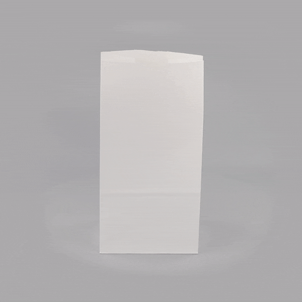 Bag Tek White Paper Bag - 8 lb - 6" x 4" x 11 3/4" - 100 count box
