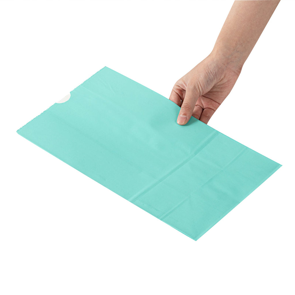 Bag Tek Turquoise Paper Bag - 12 lb - 7" x 4 1/4" x 12 1/2" - 100 count box