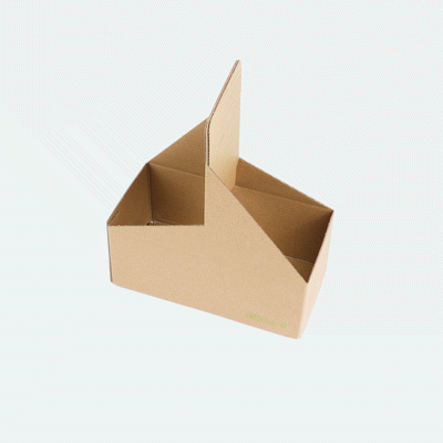 Cater Tek Kraft and Green Paper Drink Carrier - Holds 2 - 9" x 4 1/2" x 4" - 100 count box