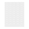 Label Tek Plastic Ginger Label - Clear with White Font, Water-Resistant - 2" x 1" - 100 count box