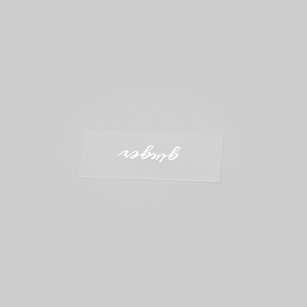 Label Tek Plastic Ginger Label - Clear with White Font, Water-Resistant - 2" x 1" - 100 count box