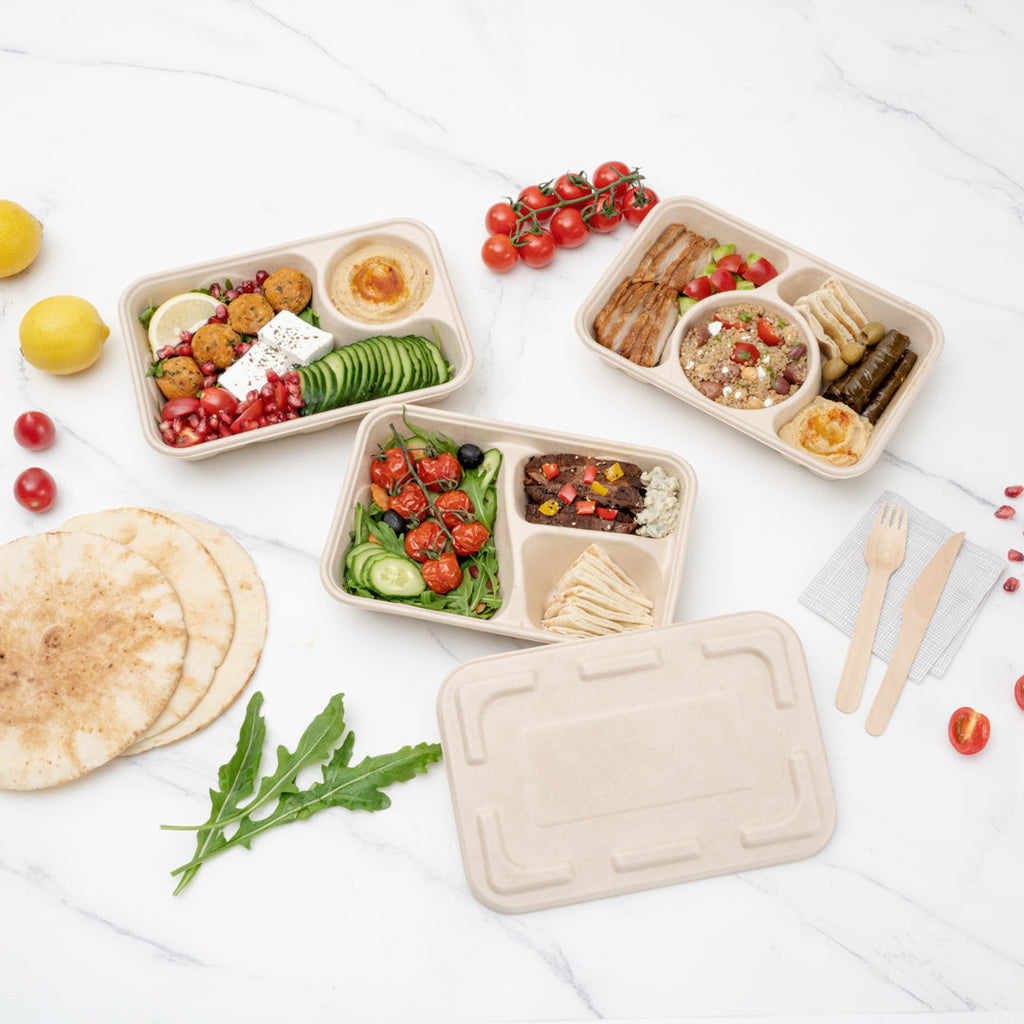 Pulp Tek Rectangle Natural Sugarcane / Bagasse Flat Lid - Fits To Go Container - 100 count box