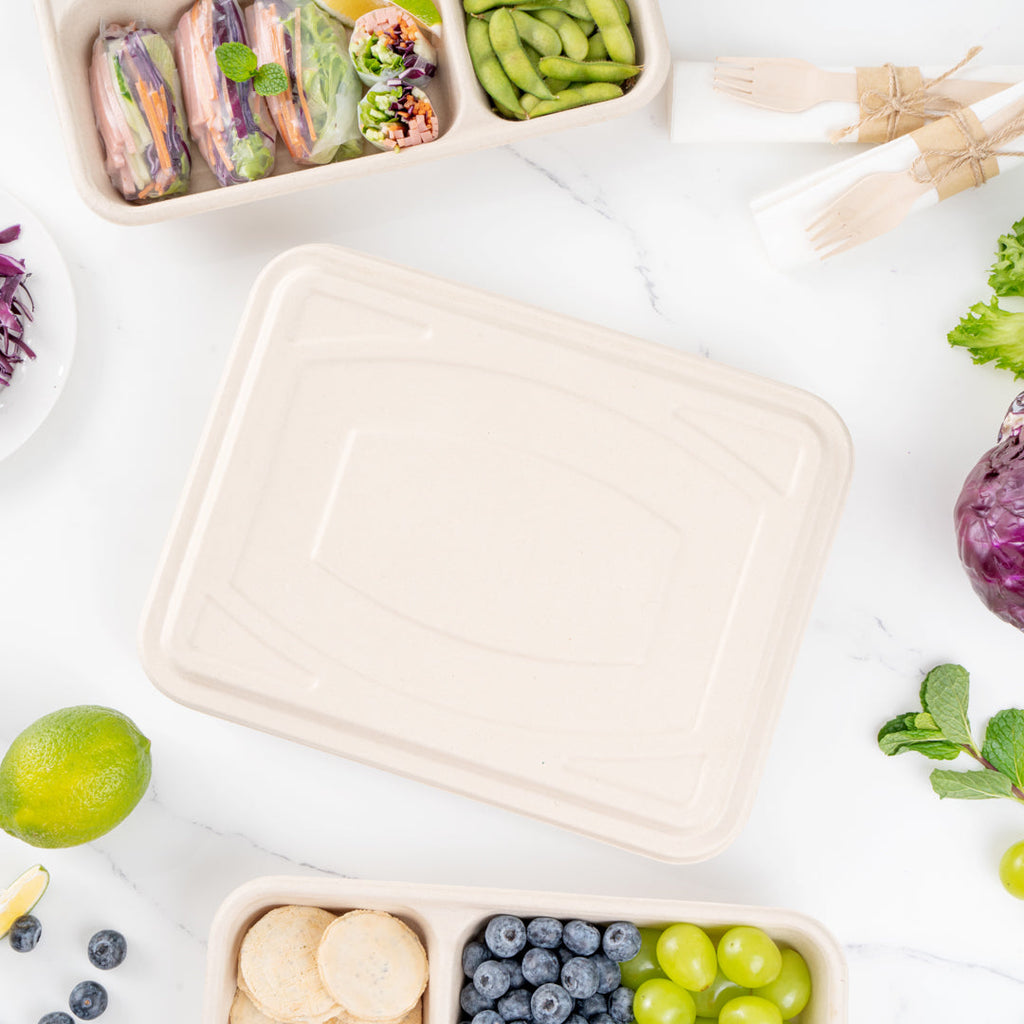 Pulp Tek Rectangle Natural Bagasse Flat Lid - Fits To Go Trays - 100 count box
