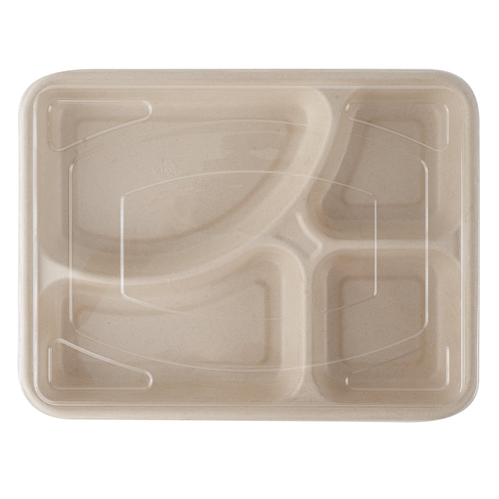 Pulp Tek Rectangle Clear Plastic Flat Lid - Fits To Go Trays - 100 count box