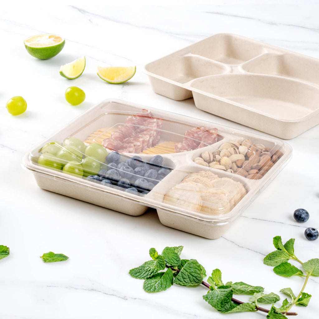 Pulp Tek Rectangle Clear Plastic Flat Lid - Fits To Go Trays - 100 count box