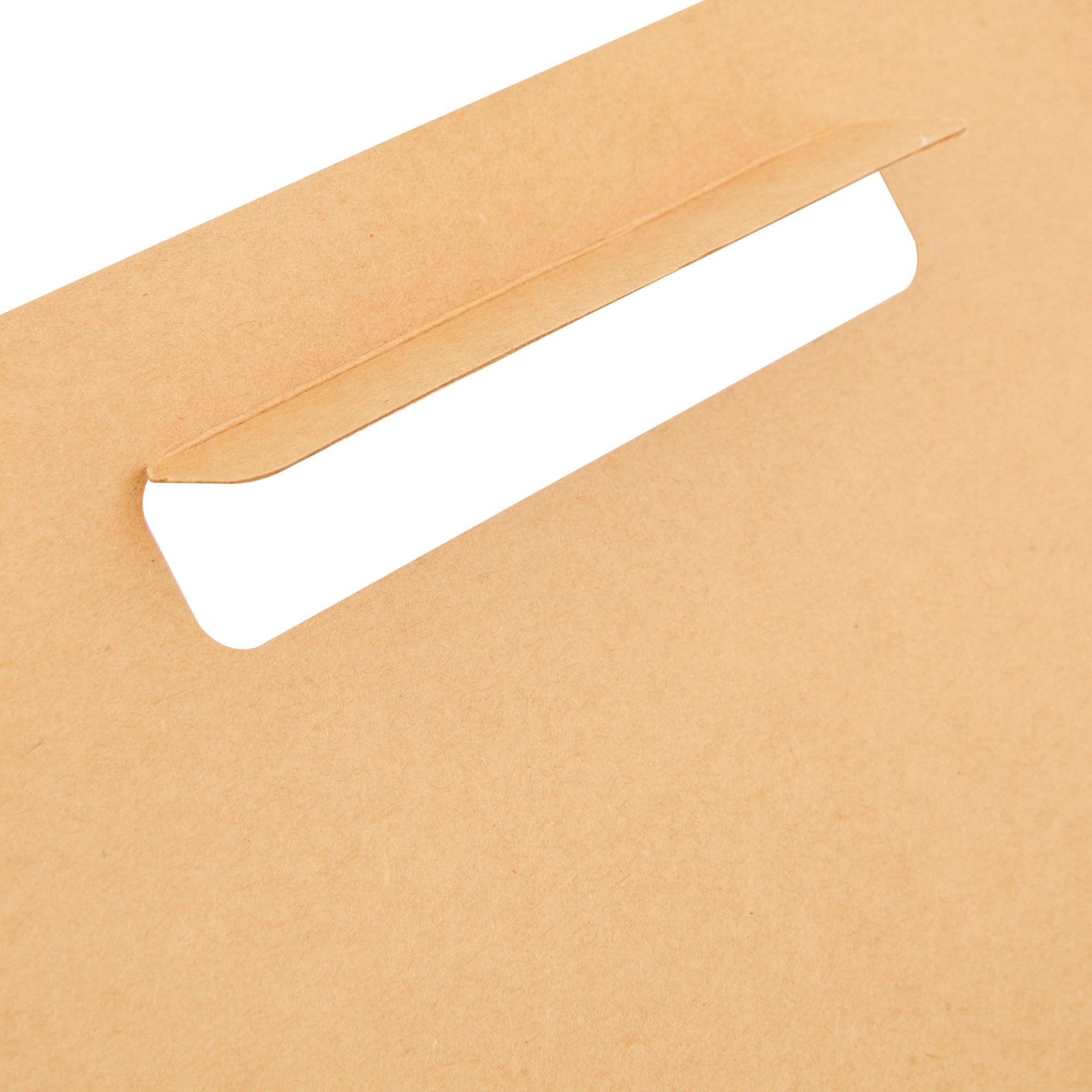 Bio Tek Kraft Paper To Go Lunch / Drink Carrier - with Handle - 8 3/4" x 4 1/4" x 8" - 100 count box