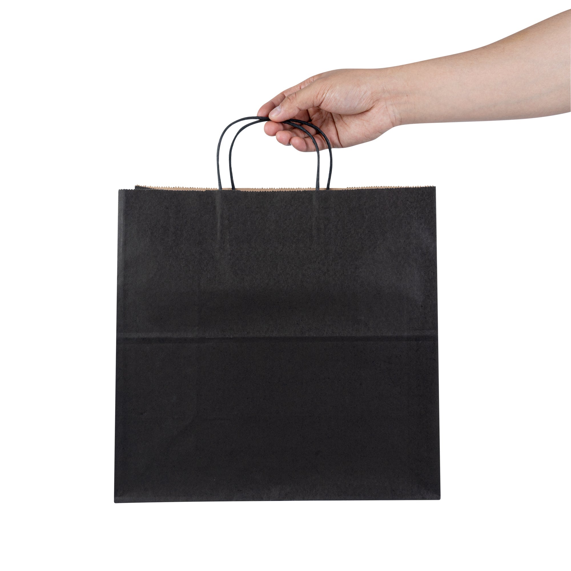 Saving Nature Black Paper Retail Bag - with Handles - 12 1/2" x 6 1/4" x 12 1/4" - 100 count box