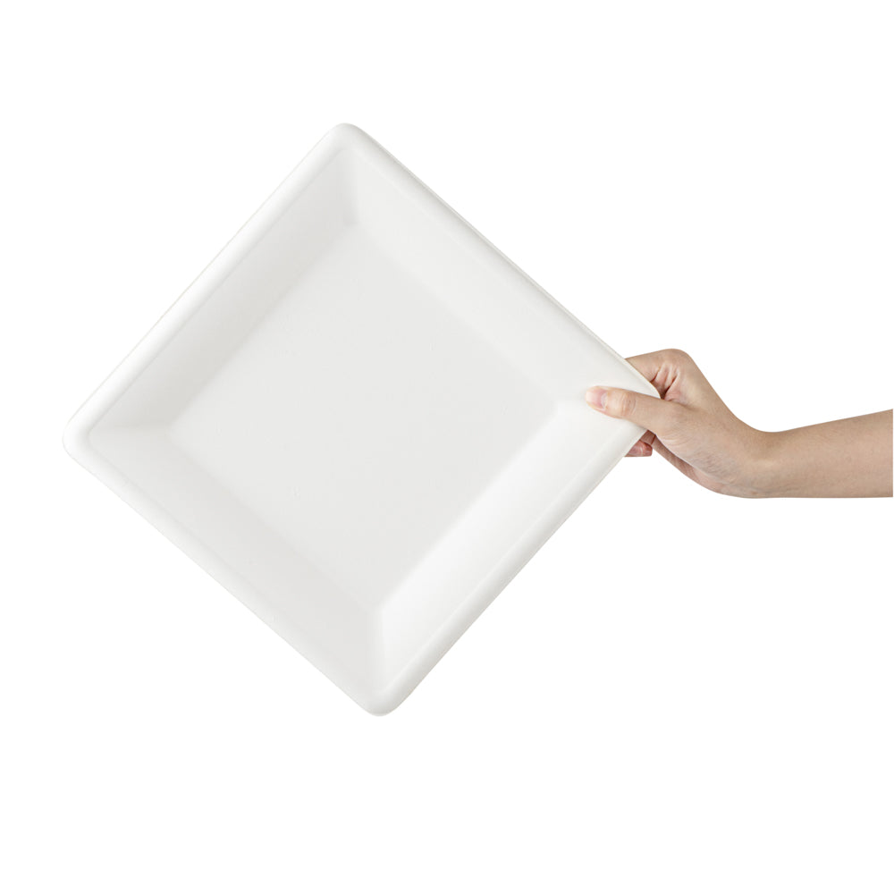 Pulp Safe No PFAS Added Square White Sugarcane / Bagasse Large Plate - Home Compostable - 10 1/4" x 10 1/4" x 1/2" - 100 count box