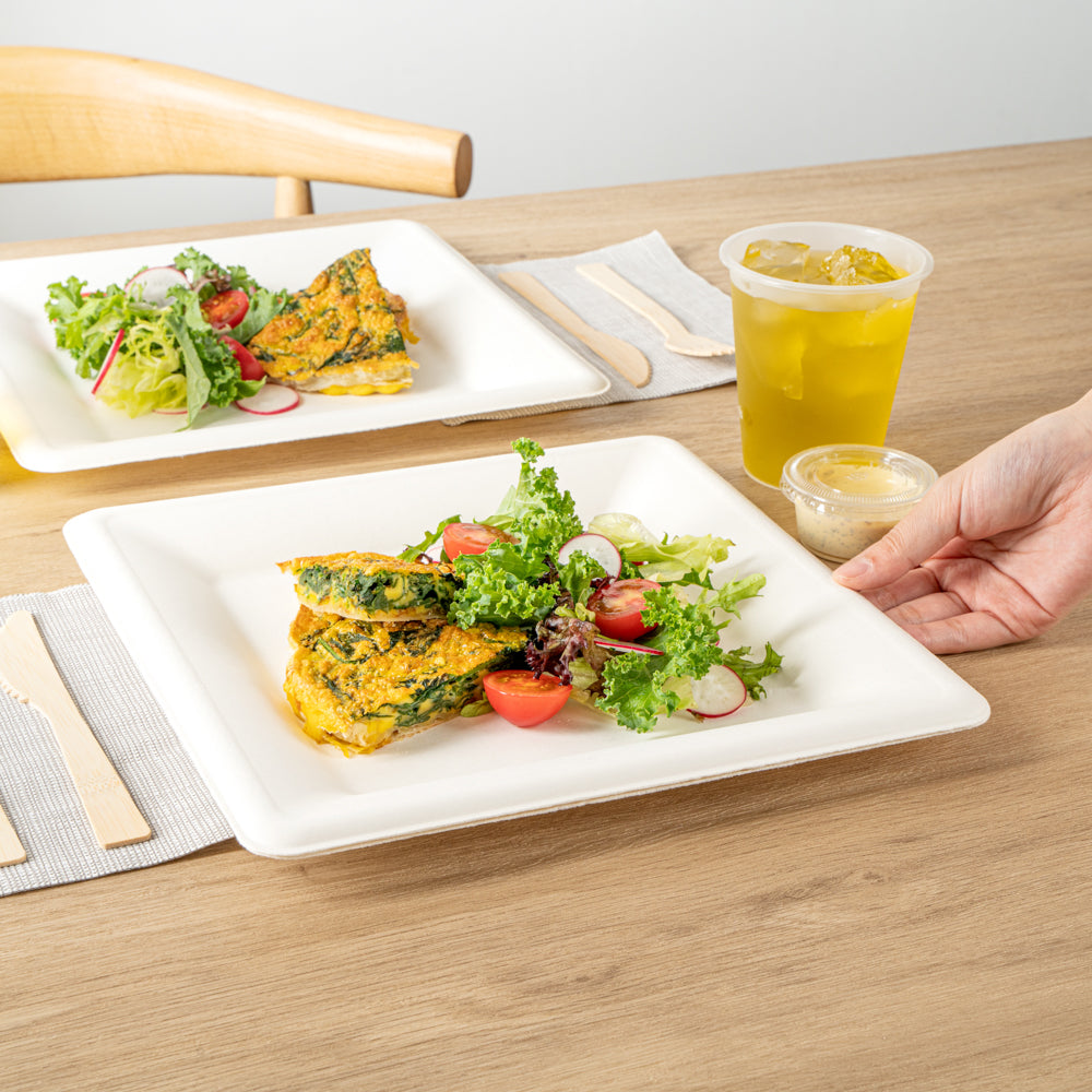 Pulp Safe No PFAS Added Square White Sugarcane / Bagasse Large Plate - Home Compostable - 10 1/4" x 10 1/4" x 1/2" - 100 count box