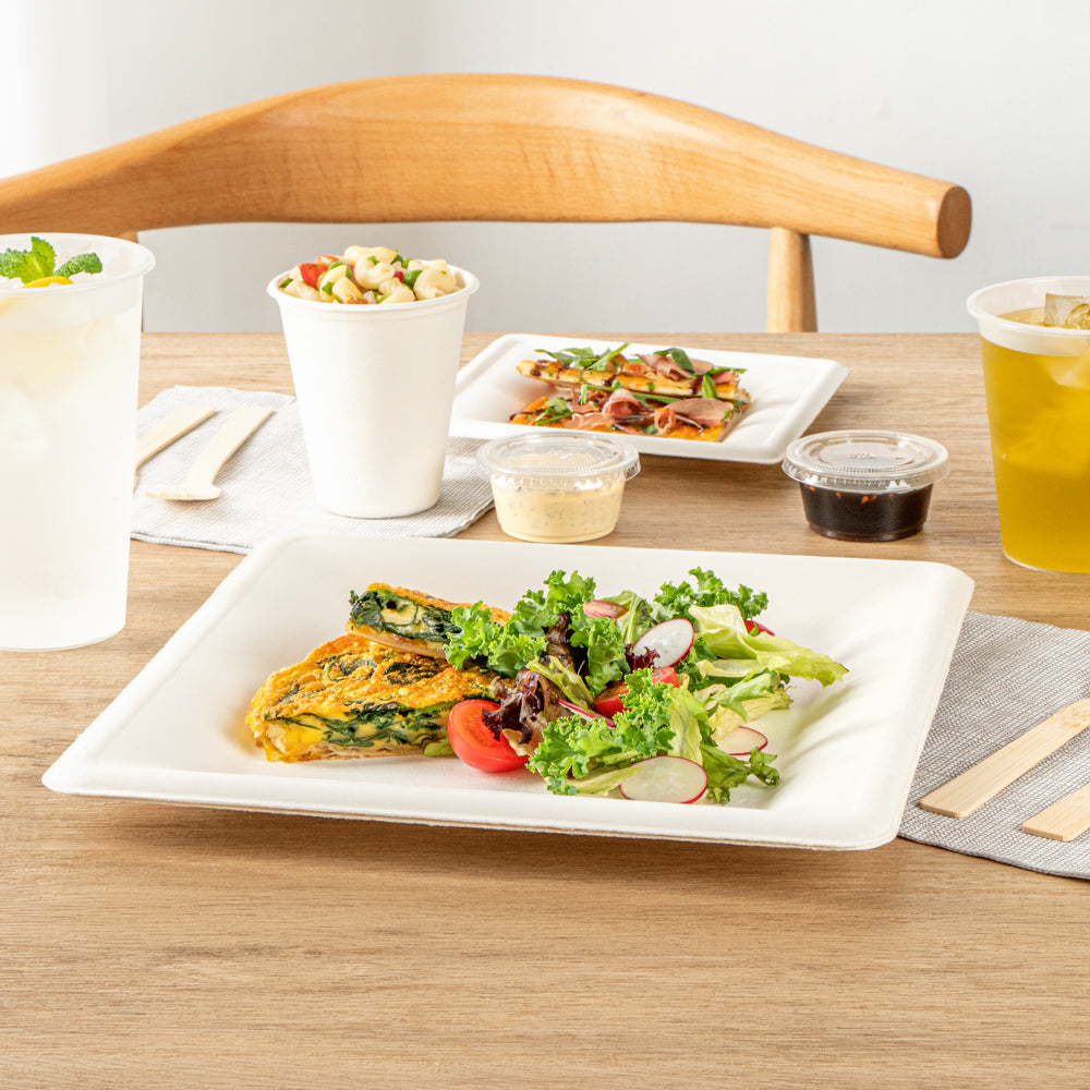 Pulp Safe No PFAS Added Square White Sugarcane / Bagasse Large Plate - Home Compostable - 10 1/4" x 10 1/4" x 1/2" - 100 count box
