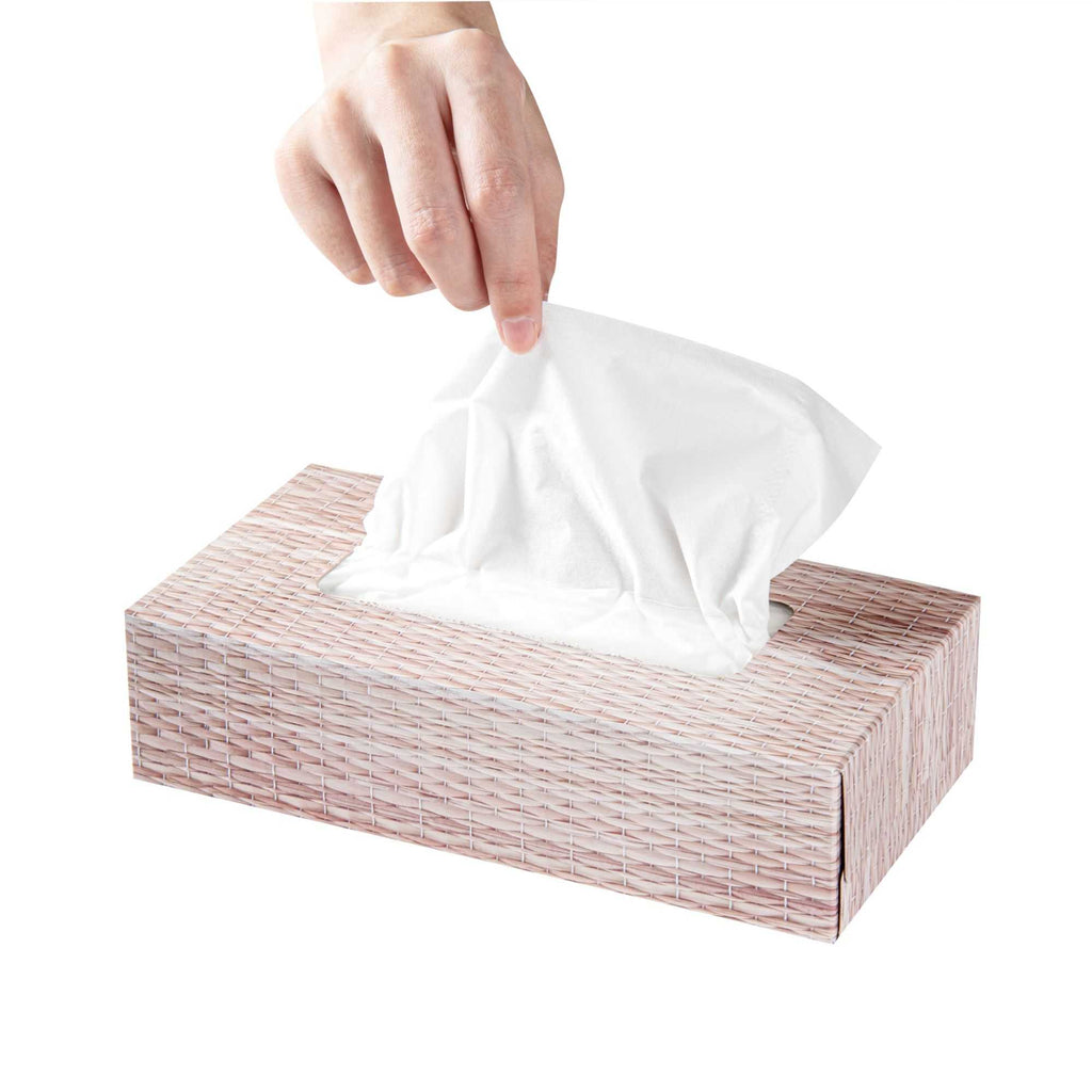 Clean Tek Professional 100 Sheet Facial Tissue Box - 2-Ply - 1 count box
