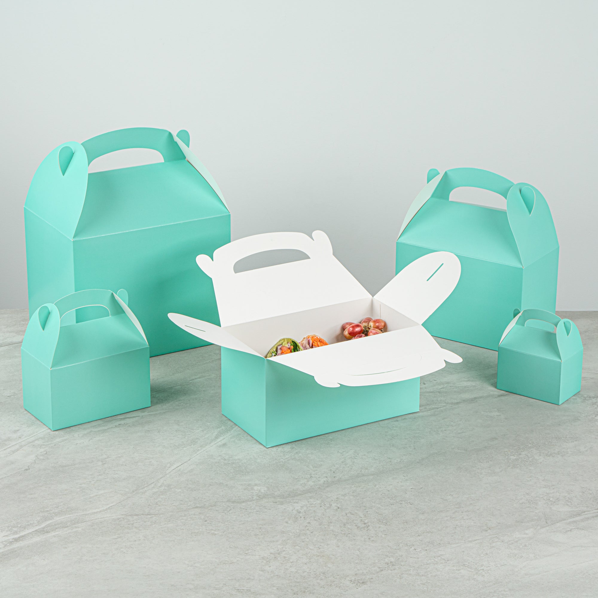Bio Tek Turquoise Paper Gable Box / Take Out Container - Compostable - 9 1/2" x 5" x 5" - 25 count box