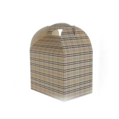 Bio Tek Plaid Paper Gable Box / Take Out Container - Compostable - 10" x 7" x 8" - 25 count box