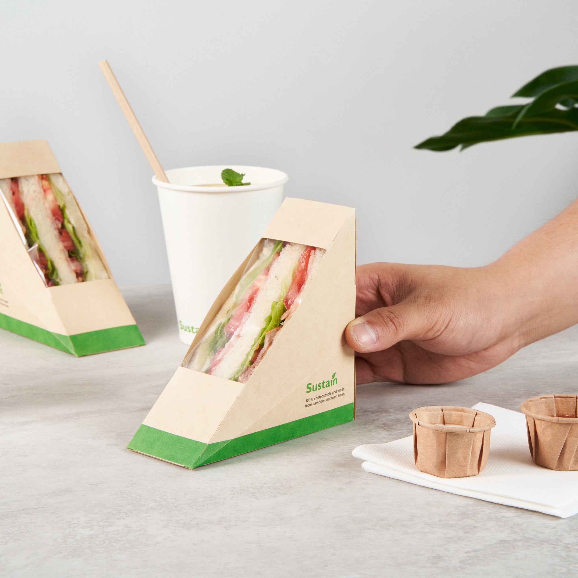 Sustain Bamboo Paper Small Sandwich Box - with PLA Lining and Window, Compostable - 4 3/4" x 4 3/4" x 2" - 50 count box