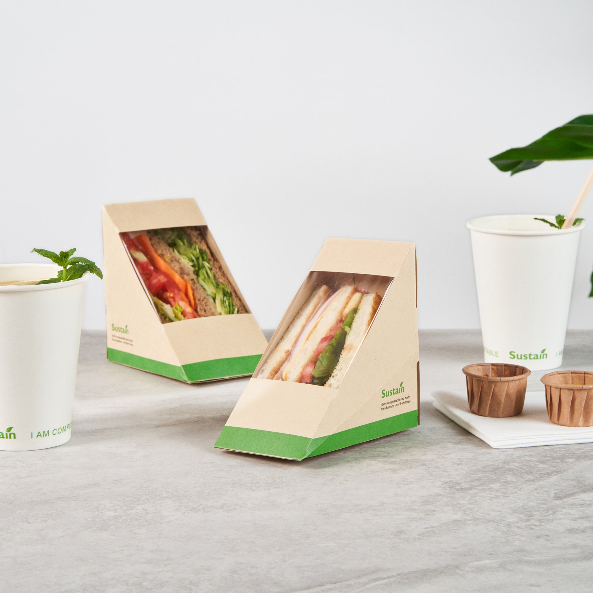 Sustain Bamboo Paper Medium Sandwich Box - with PLA Lining and Window, Compostable - 4 3/4" x 4 3/4" x 2 3/4" - 25 count box