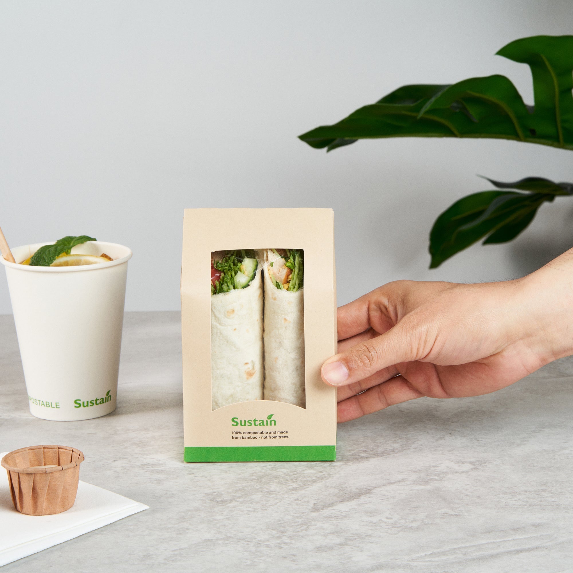 Sustain Bamboo Paper Sandwich / Wrap Take Out Container - with PLA Lining and Window, Compostable - 6" x 3 3/4" x 2" - 50 count box